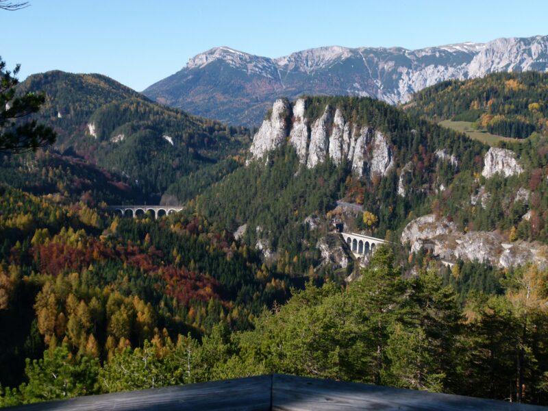 A view of a valley with trees and rock formations